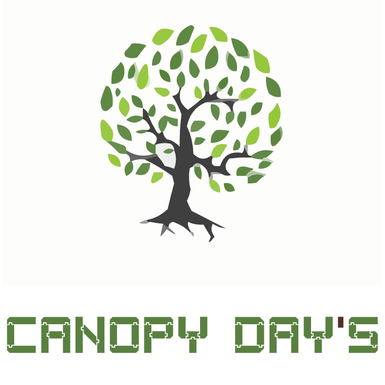 Illustration du portfolio Bois du Roy